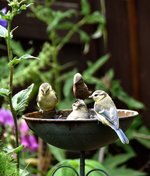 DSC_0086.JPG DSC_0086.JPG