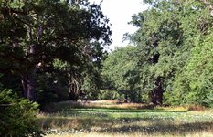 DSC_0173.JPG DSC_0173.JPG