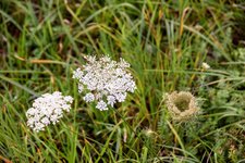 DSC_0128.JPG DSC_0128.JPG