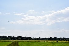 DSC_0185.JPG DSC_0185.JPG
