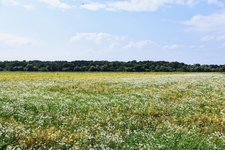 DSC_0303.JPG DSC_0303.JPG