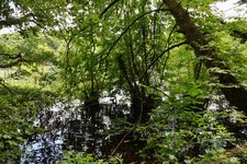 DSC_0162.JPG