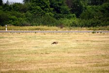 DSC_0116.JPG DSC_0116.JPG