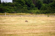 DSC_0113.JPG DSC_0113.JPG