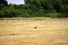 DSC_0105.JPG DSC_0105.JPG