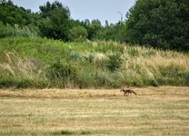 DSC_0130.JPG DSC_0130.JPG