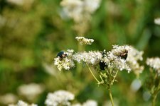 DSC_0068.JPG DSC_0068.JPG
