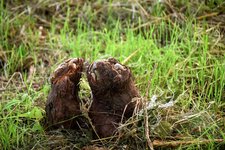 DSC_0048.JPG