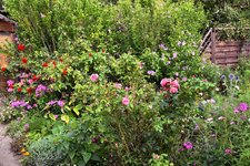 DSC_0016.JPG DSC_0016.JPG