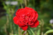 DSC_0032.JPG DSC_0032.JPG