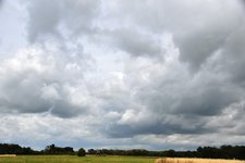DSC_0230.JPG