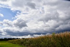 DSC_0293.JPG DSC_0293.JPG