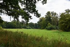 DSC_0238.JPG DSC_0238.JPG