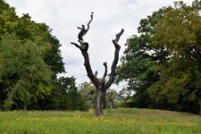 DSC_0187.JPG DSC_0187.JPG