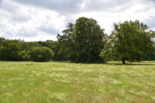 DSC_0203.JPG DSC_0203.JPG
