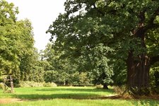 DSC_0169.JPG DSC_0169.JPG