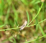 DSC_0065.JPG DSC_0065.JPG