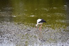 DSC_0208.JPG