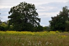 DSC_0049.JPG DSC_0049.JPG