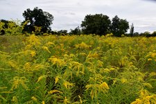 DSC_0070.JPG DSC_0070.JPG
