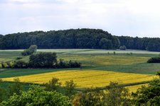 DSC_0091 (1).JPG DSC_0091 (1).JPG