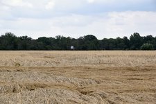 DSC_0265.JPG DSC_0265.JPG