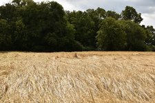 DSC_0255.JPG DSC_0255.JPG