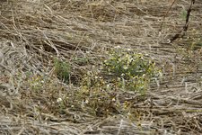 DSC_0244.JPG DSC_0244.JPG