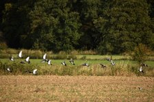 DSC_0130.JPG DSC_0130.JPG