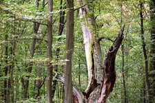 DSC_0173.JPG