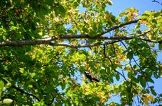 DSC_0198.JPG