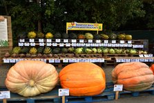 DSC_0087.JPG DSC_0087.JPG