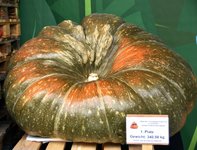 DSC_0122.JPG DSC_0122.JPG