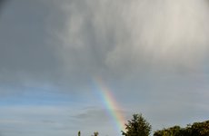 DSC_0122.JPG