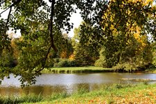 DSC_0483.JPG DSC_0483.JPG