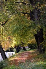 DSC_0505.JPG DSC_0505.JPG