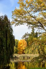 DSC_0552.JPG DSC_0552.JPG