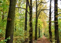 DSC_0165-EDIT.jpg