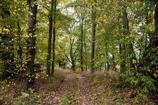 DSC_0137.JPG