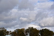 DSC_0303.JPG DSC_0303.JPG