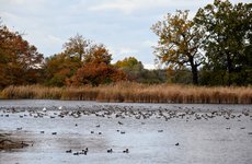DSC_0028.JPG DSC_0028.JPG