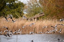 DSC_0049.JPG DSC_0049.JPG