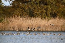 DSC_0380.JPG DSC_0380.JPG