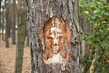 DSC_0279.JPG