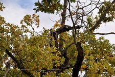 DSC_0097-EDIT.jpg