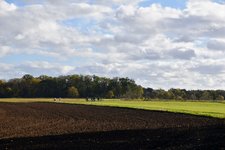 DSC_0295.JPG DSC_0295.JPG