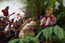 DSC_0008.JPG