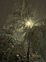klein_ - 14 (7).jpeg