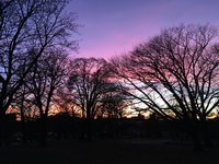 IMG_6248.JPG