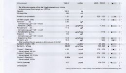 EBD3000E-F60C-44CA-8902-102F67B17036.jpeg EBD3000E-F60C-44CA-8902-102F67B17036.jpeg